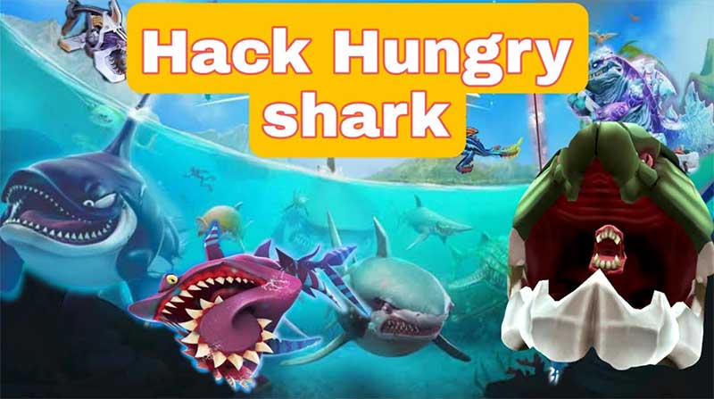 Game Hungry Shark mang đến trải nghiệm chơi lý thú