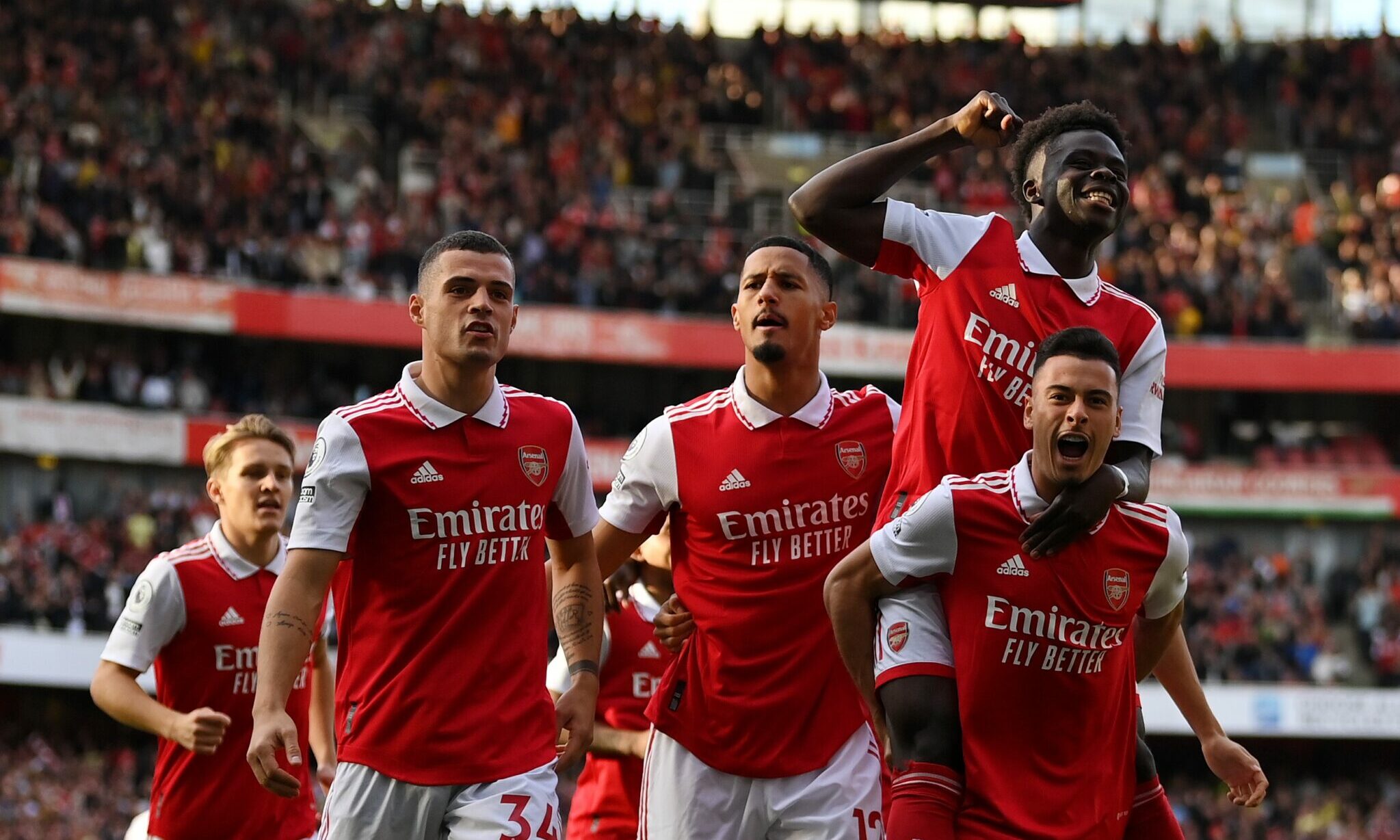 Fan Arsenal Gọi Là Gì? Biệt Danh Của Cổ Động Viên Pháo Thủ
