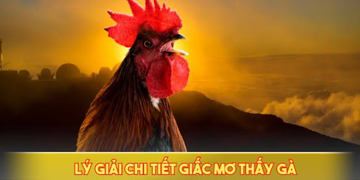 Ý Nghĩa Giấc Mơ Thấy Gà Mà Bạn Nên Biết