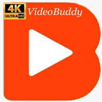 VideoBuddy